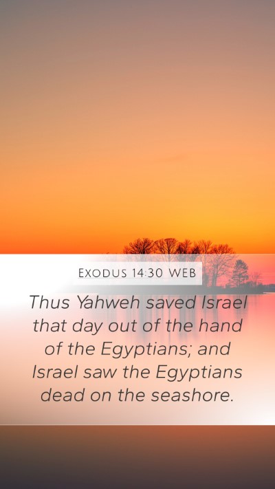 Exodus 14:30 WEB Bible Verse Image