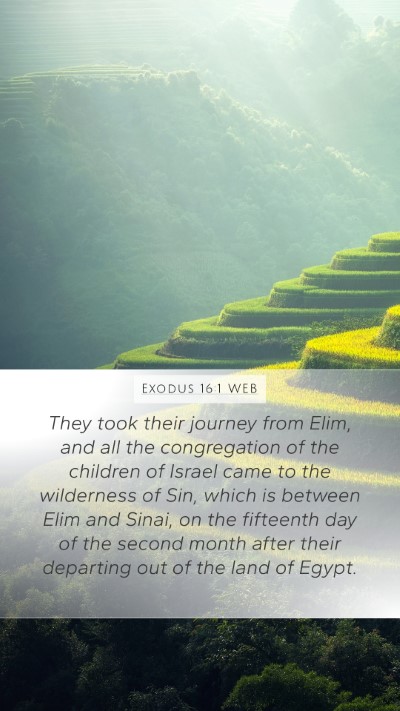 Exodus 16:1 WEB Bible Verse Image