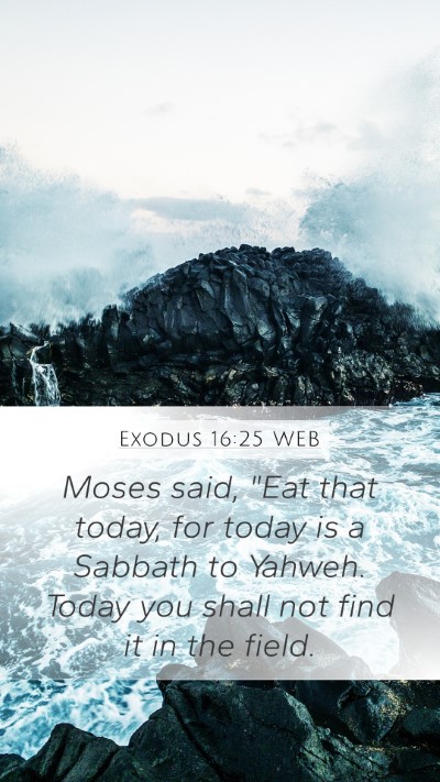 Exodus 16:25 WEB Bible Verse Image
