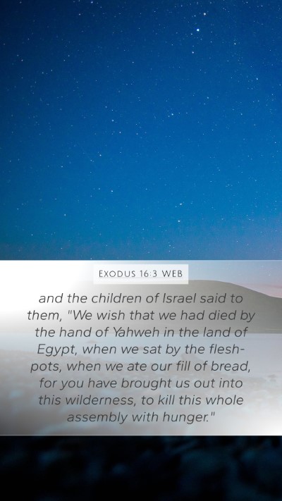 Exodus 16:3 WEB Bible Verse Image