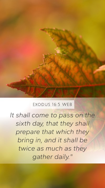 Exodus 16:5 WEB Mobile Phone Wallpaper - It shall come to pass on the sixth day, that they - Mobile Bible Verse Wallpaper