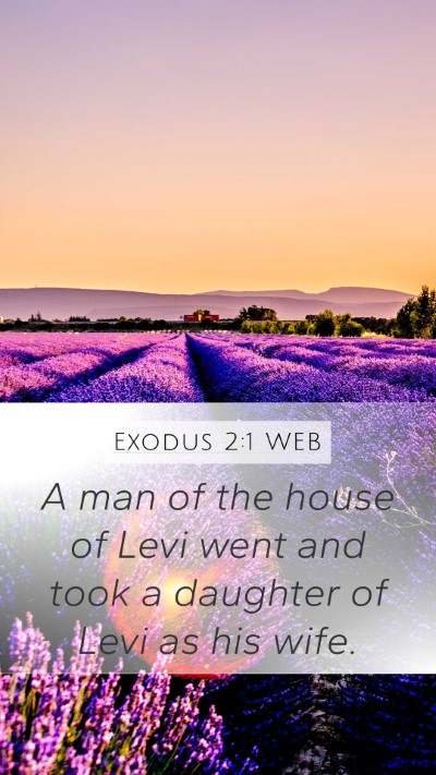 Exodus 2:1 WEB Bible Verse Image