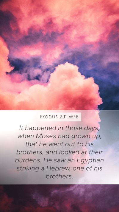 Exodus 2:11 WEB Bible Verse Image