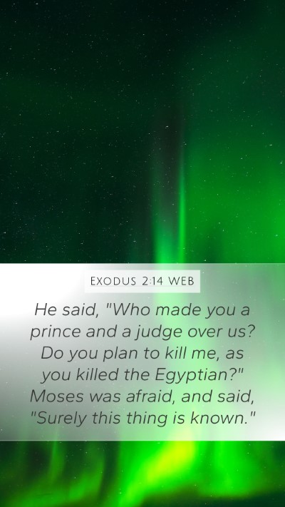 Exodus 2:14 WEB Bible Verse Image