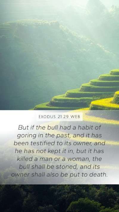 Exodus 21:29 WEB Bible Verse Image