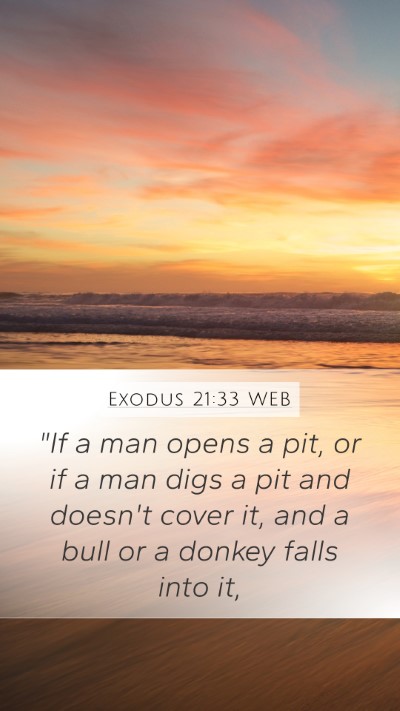 Exodus 21:33 WEB Bible Verse Image