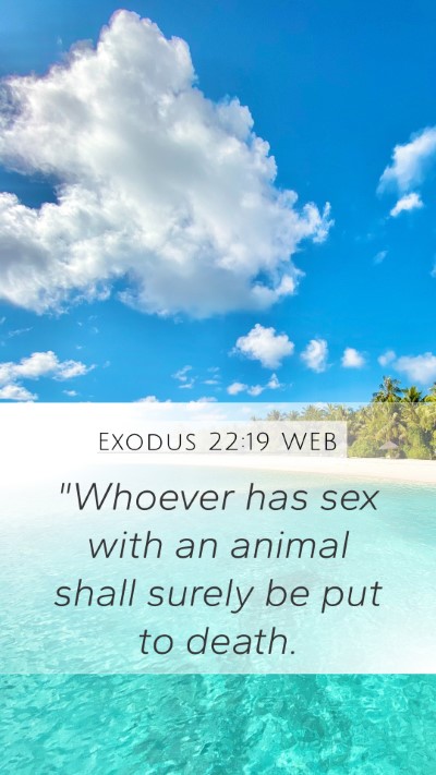 Exodus 22:19 WEB Bible Verse Image