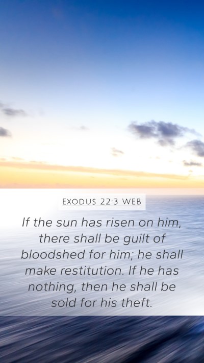 Exodus 22:3 WEB Bible Verse Image