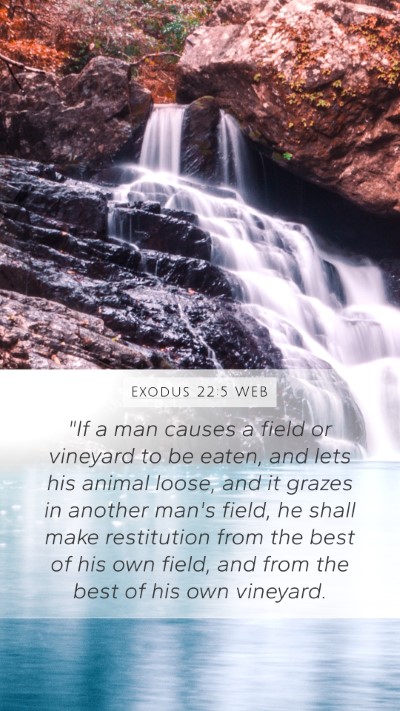 Exodus 22:5 WEB Bible Verse Image