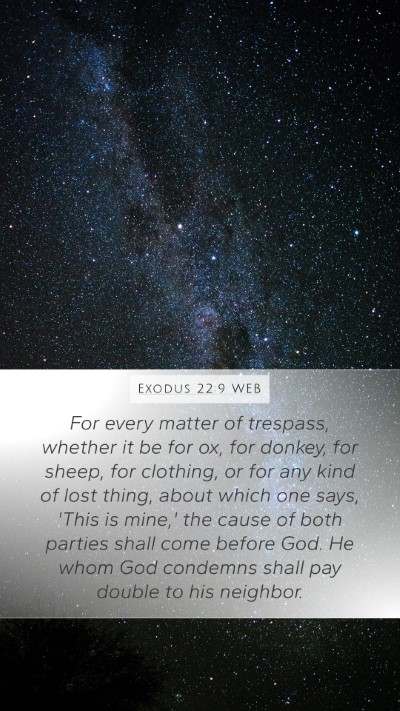 Exodus 22:9 WEB Bible Verse Image