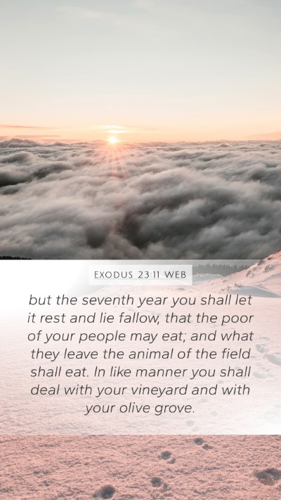 Exodus 23:11 WEB Bible Verse Image