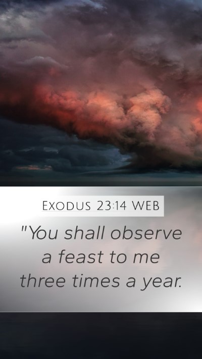 Exodus 23:14 WEB Bible Verse Image