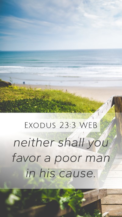 Exodus 23:3 WEB Mobile Phone Wallpaper - neither shall you favor a poor man in his - Mobile Bible Verse Wallpaper
