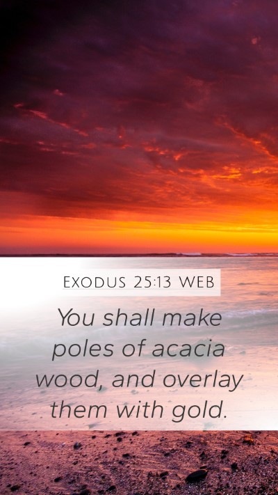 Exodus 25:13 WEB Bible Verse Image