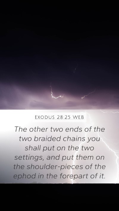 Exodus 28:25 WEB Bible Verse Image