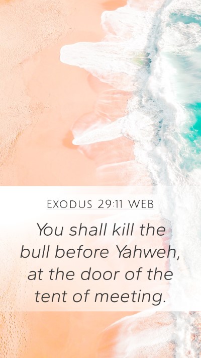 Exodus 29:11 WEB Bible Verse Image