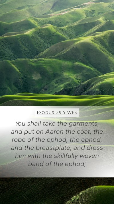 Exodus 29:5 WEB Bible Verse Image