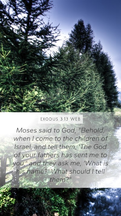 Exodus 3:13 WEB Bible Verse Image