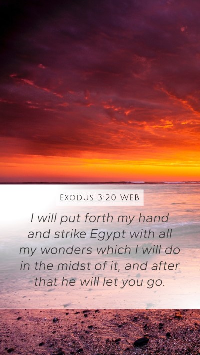 Exodus 3:20 WEB Bible Verse Image