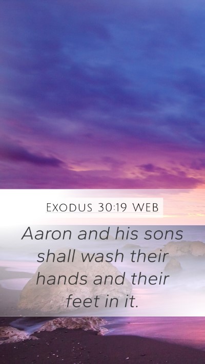Exodus 30:19 WEB Bible Verse Image