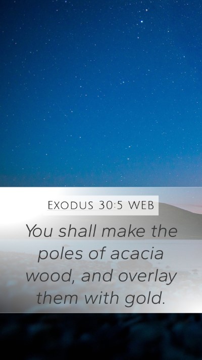 Exodus 30:5 WEB Bible Verse Image