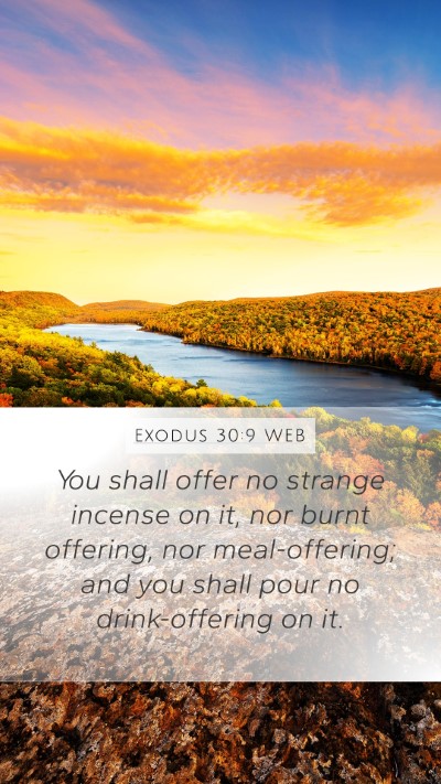 Exodus 30:9 WEB Bible Verse Image
