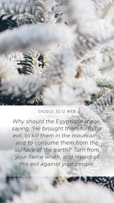 Exodus 32:12 WEB Bible Verse Image