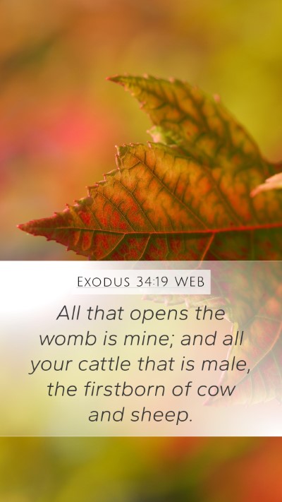 Exodus 34:19 WEB Bible Verse Image