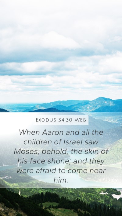 Exodus 34:30 WEB Bible Verse Image