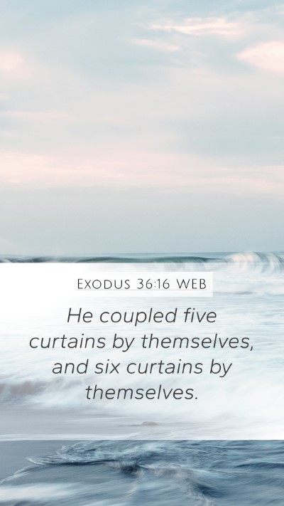 Exodus 36:16 WEB Mobile Phone Wallpaper - He coupled five curtains by themselves, and six - Mobile Bible Verse Wallpaper