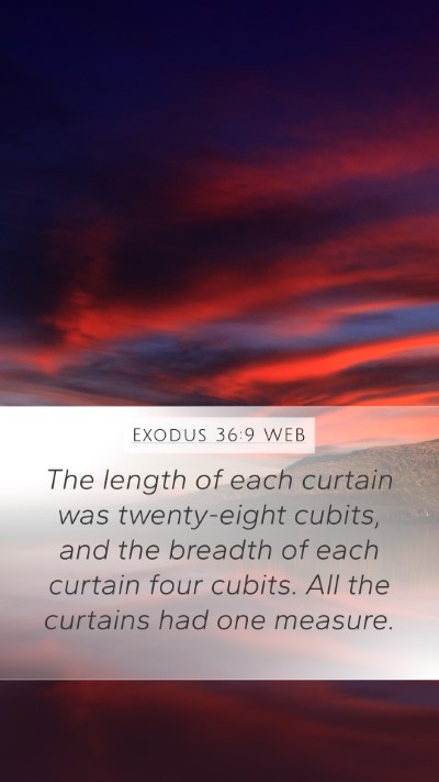 Exodus 36:9 WEB Mobile Phone Wallpaper - The length of each curtain was twenty-eight - Mobile Bible Verse Wallpaper