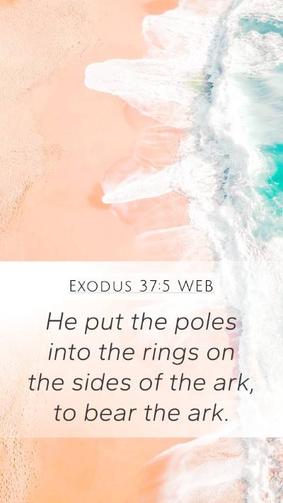 Exodus 37:5 WEB Bible Verse Image