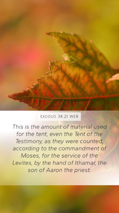 Exodus 38:21 WEB Bible Verse Image