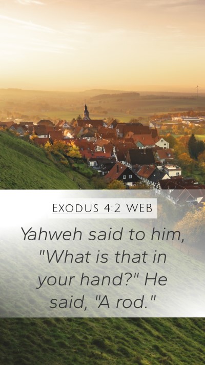 Exodus 4:2 WEB Bible Verse Image
