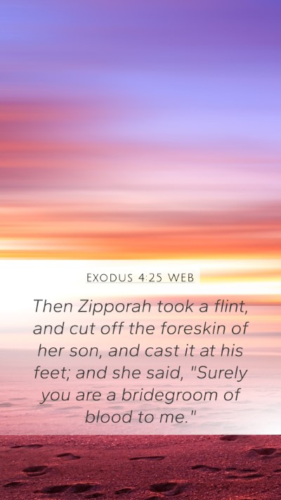 Exodus 4:25 WEB Bible Verse Image