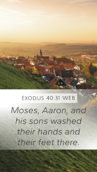 Exodus 40:31 WEB Bible Verse Image