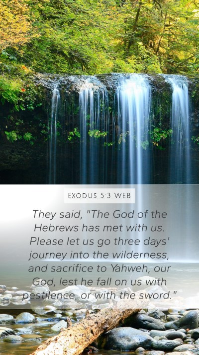 Exodus 5:3 WEB Bible Verse Image
