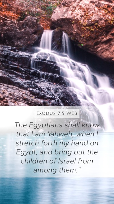 Exodus 7:5 WEB Bible Verse Image