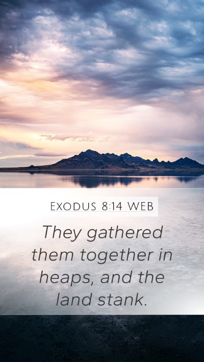 Exodus 8:14 WEB Mobile Phone Wallpaper - They gathered them together in heaps, and the - Mobile Bible Verse Wallpaper