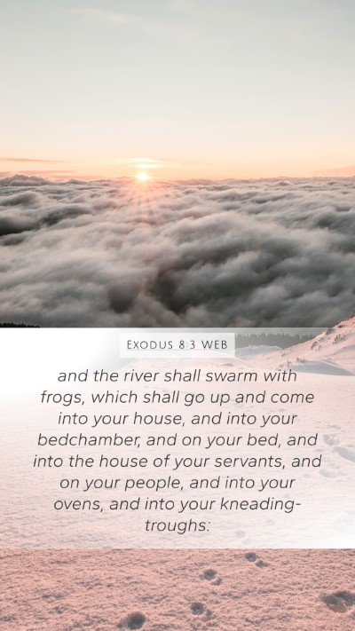 Exodus 8:3 WEB Bible Verse Image