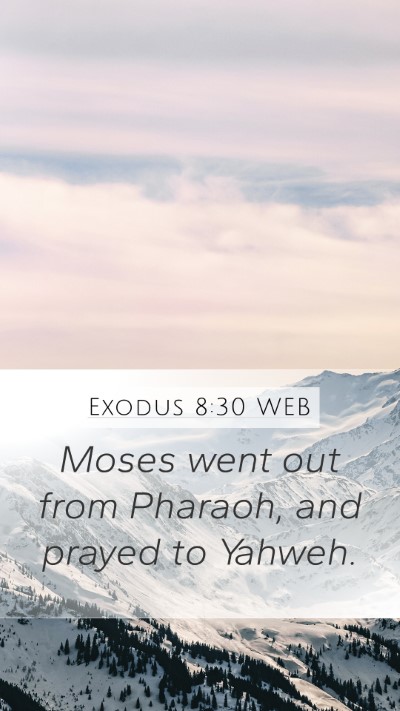 Exodus 8:30 WEB Bible Verse Image