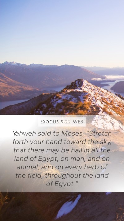 Exodus 9:22 WEB Bible Verse Image