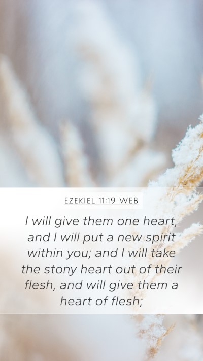 Ezekiel 11:19 WEB Bible Verse Image