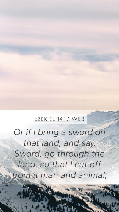 Ezekiel 14:17 WEB Bible Verse Image