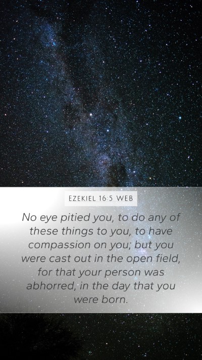 Ezekiel 16:5 WEB Bible Verse Image