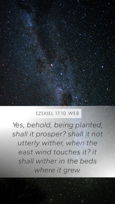 Ezekiel 17:10 WEB Bible Verse Image