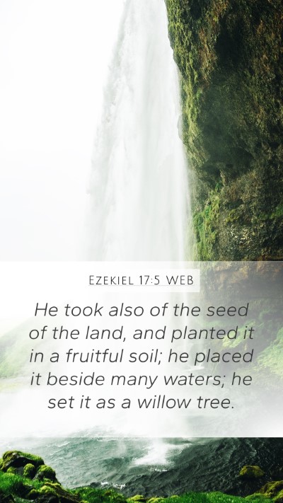 Ezekiel 17:5 WEB Bible Verse Image