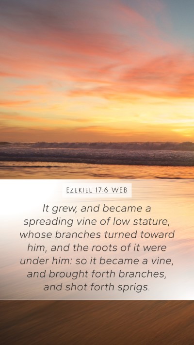 Ezekiel 17:6 WEB Bible Verse Image