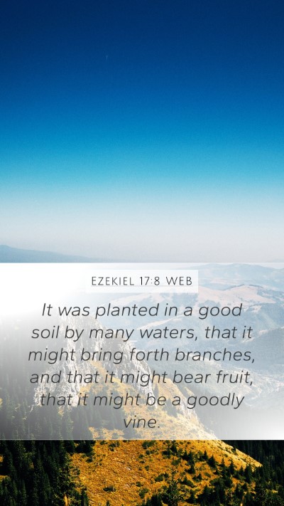 Ezekiel 17:8 WEB Bible Verse Image