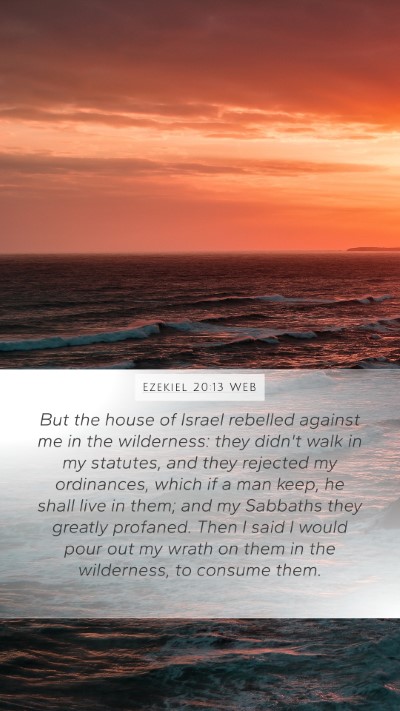 Ezekiel 20:13 WEB Bible Verse Image
